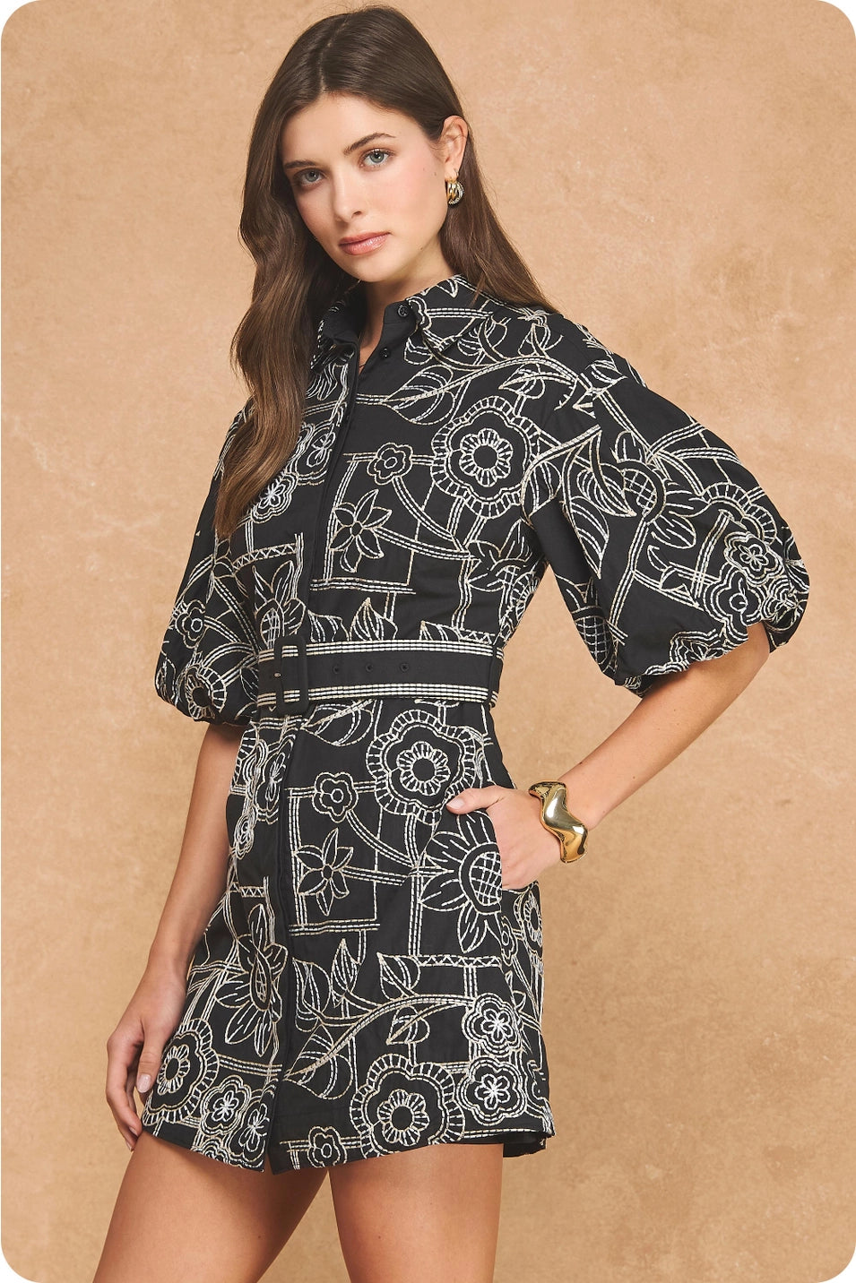 EMBROIDERY PUFF SLEEVE MINI DRESS