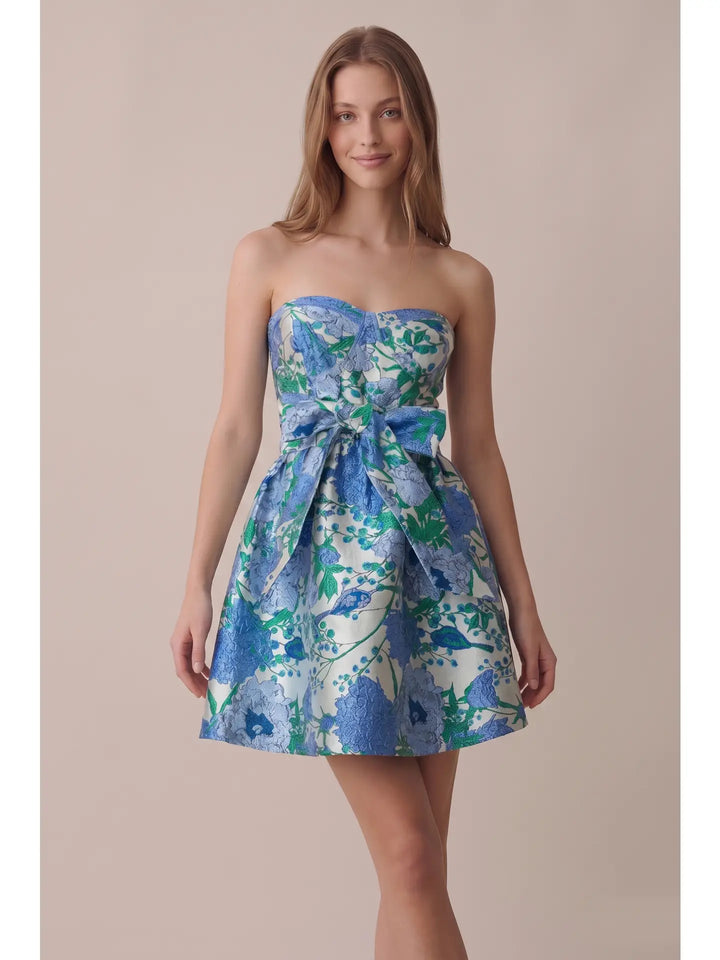 SPRING GARDEN TUBE MINI DRESS