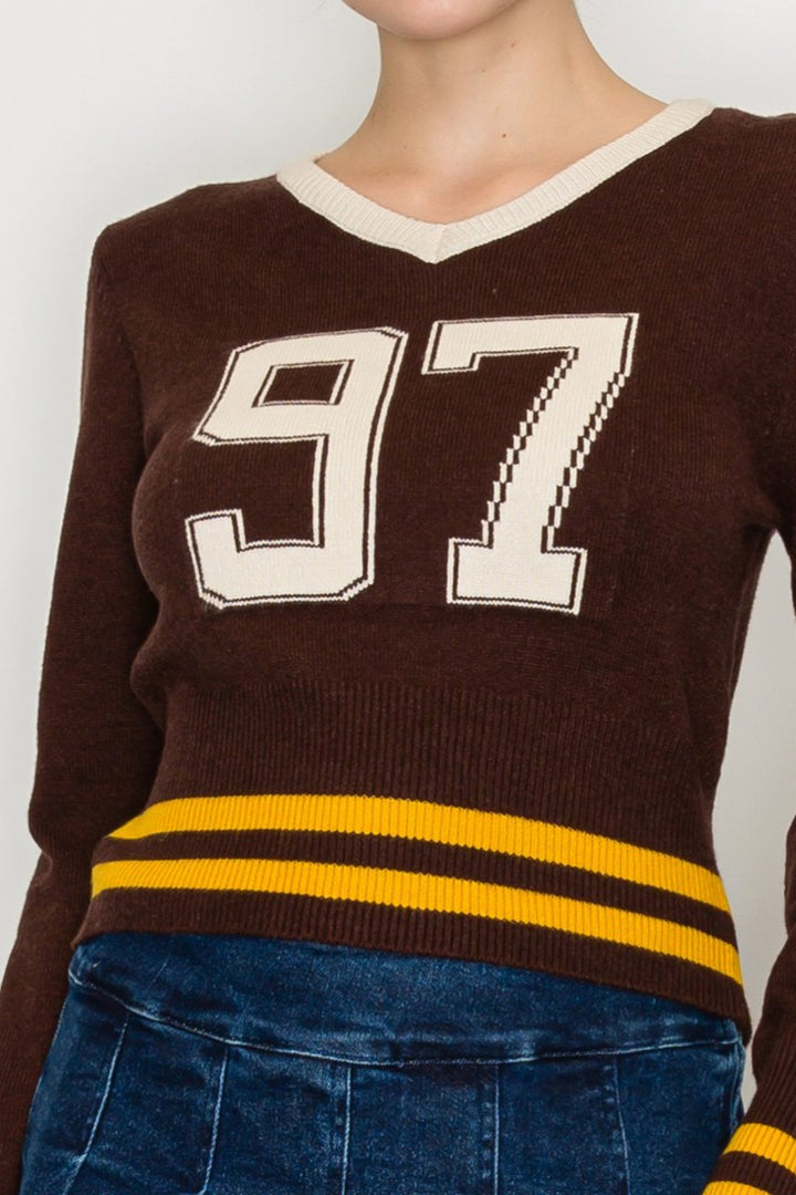 V NECK CROPPED SWEATER TOP