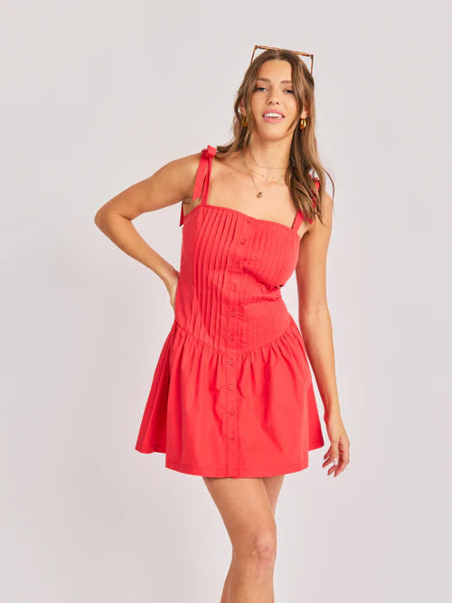 CANYON PINTUCK TIE MINI DRESS