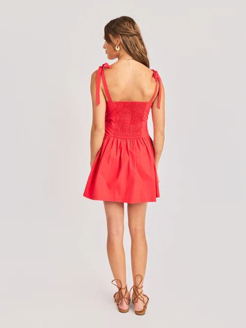 CANYON PINTUCK TIE MINI DRESS