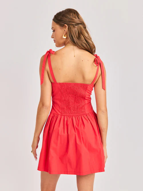 CANYON PINTUCK TIE MINI DRESS