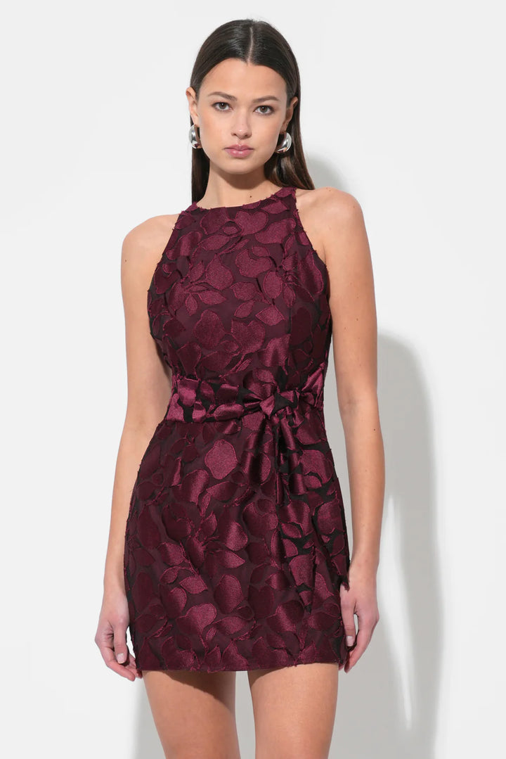 FALINI VELVET BURNOUT TIE FRONT MINI DRESS