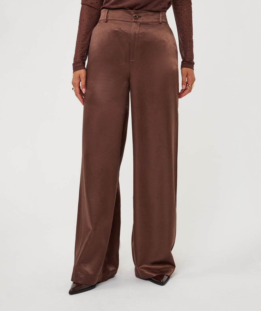 TROUSERS SHINY