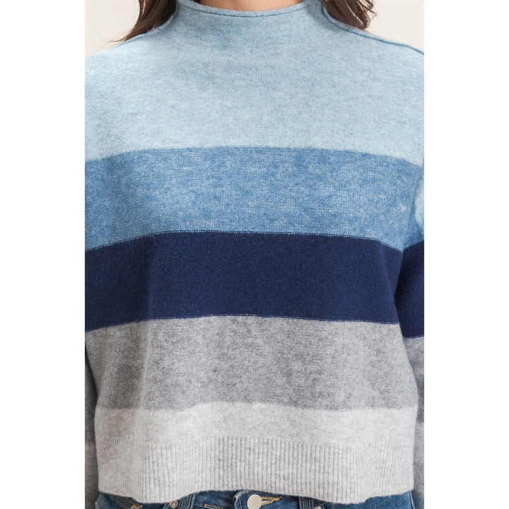 COLOR BLOCK TURTLENECK SWEATER