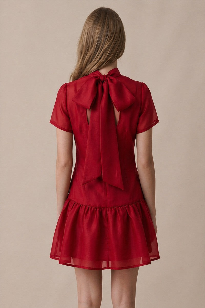 SOFT ORGANZA MOCK NECK MINI DRESS