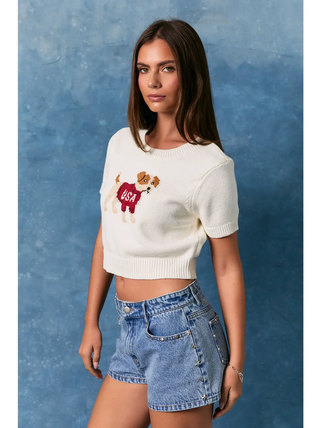 "PUPPY WITH USA" SWEATER TOP