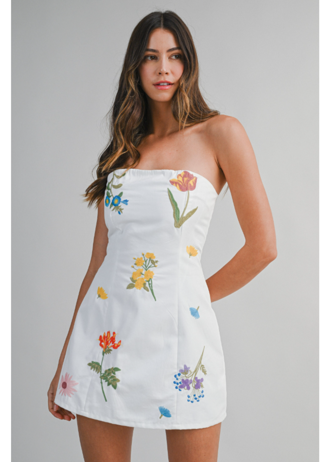 FLORAL EMBROIDERED MINI TUBE DRESS