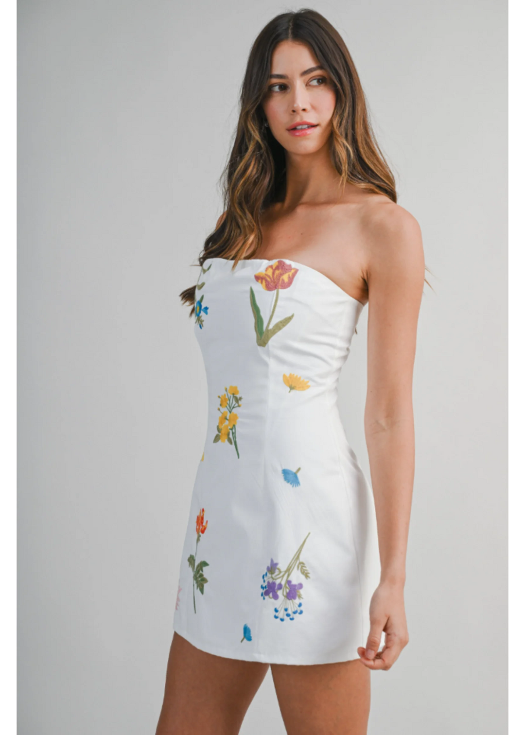 FLORAL EMBROIDERED MINI TUBE DRESS