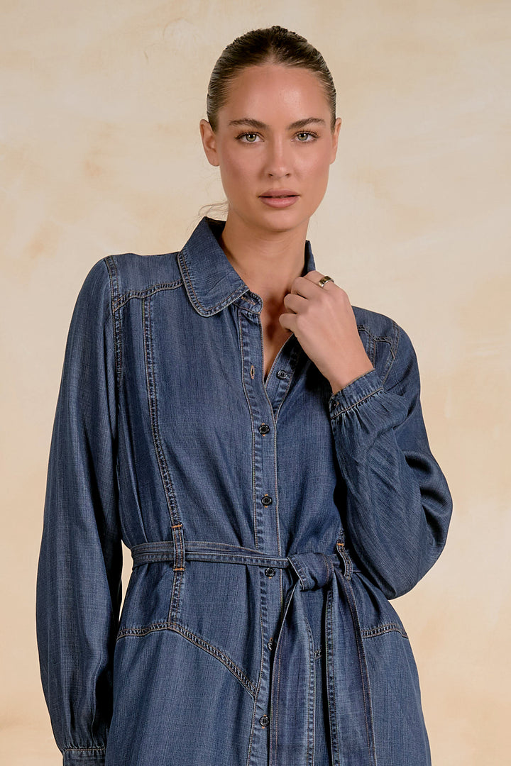 LONG SLEEVE COLLAR BUTTON DRESS